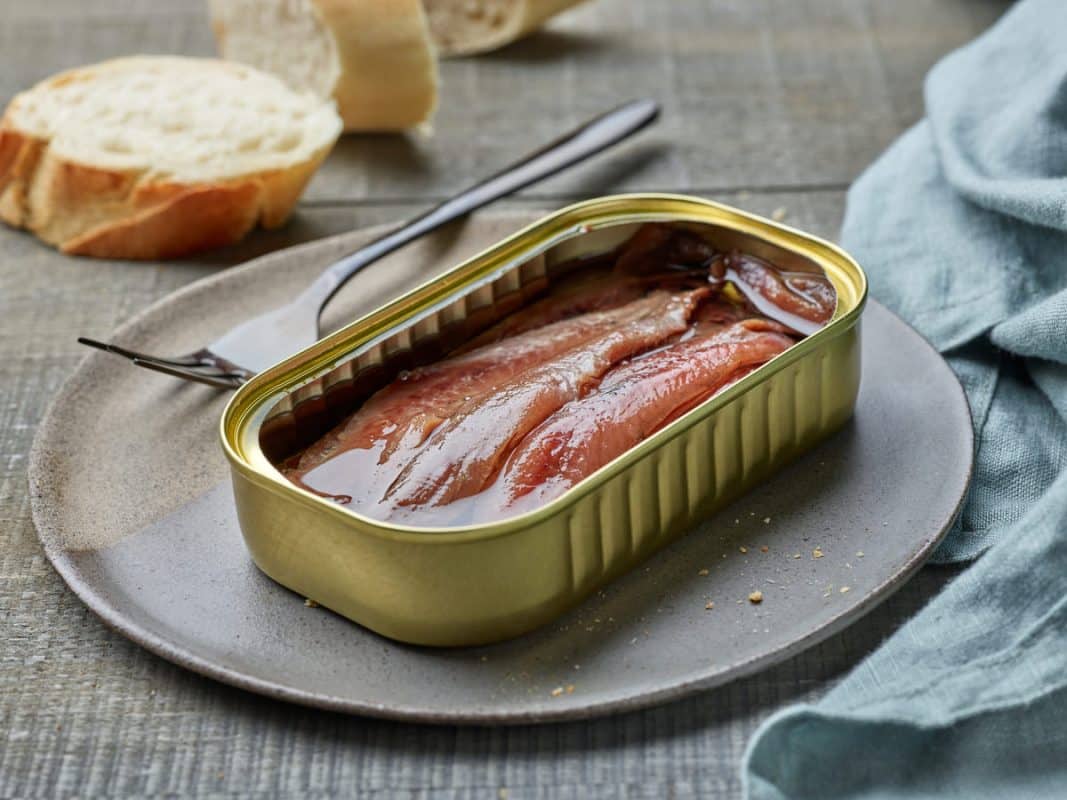 ia anchoa revolucion de la pesca
