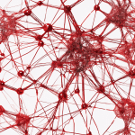 Red completamente conectada: La estructura más básica de una red neuronal